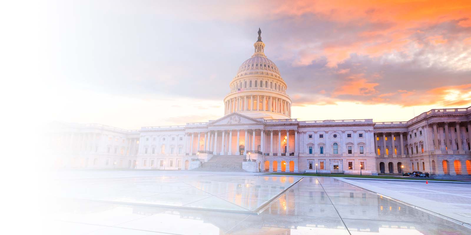Monitors and Displays for All Levels of Government