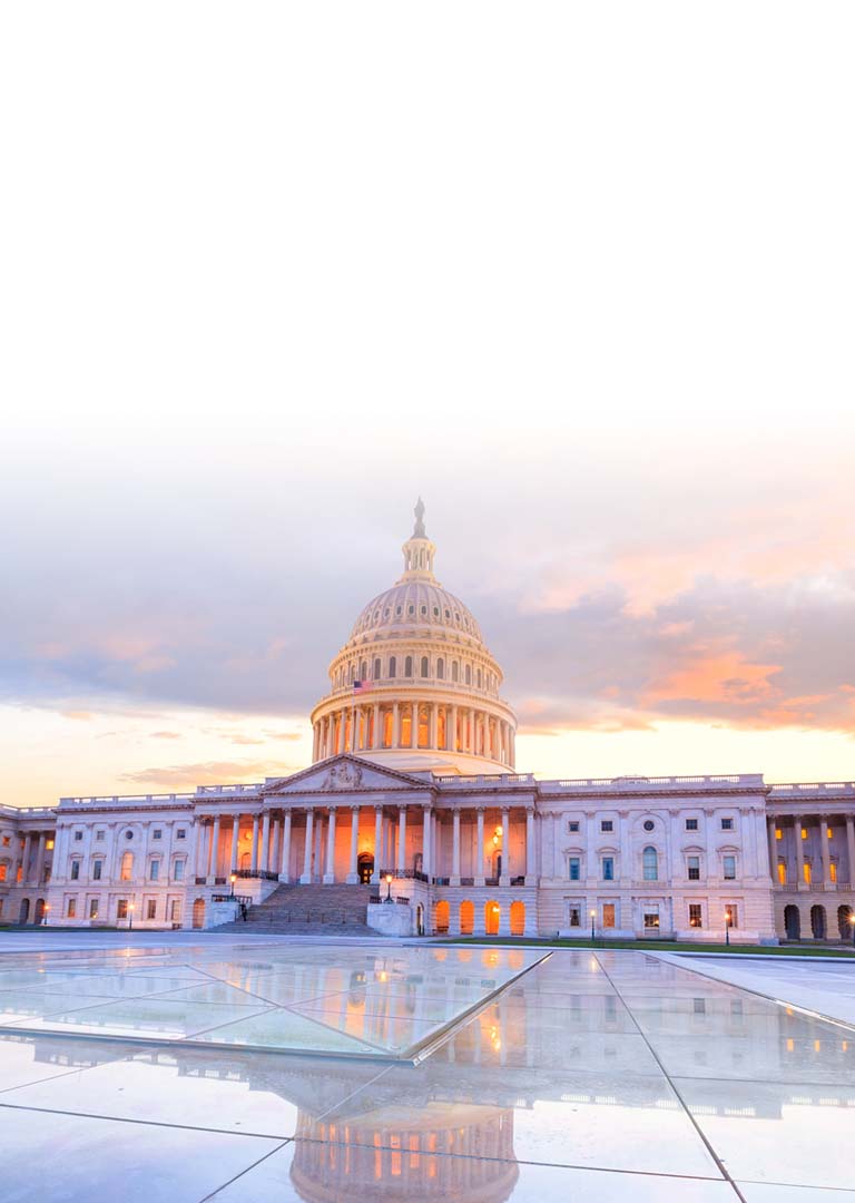 Monitors and Displays for All Levels of Government