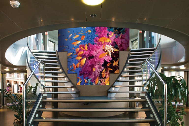 A Dazzling Variety of Applications 3