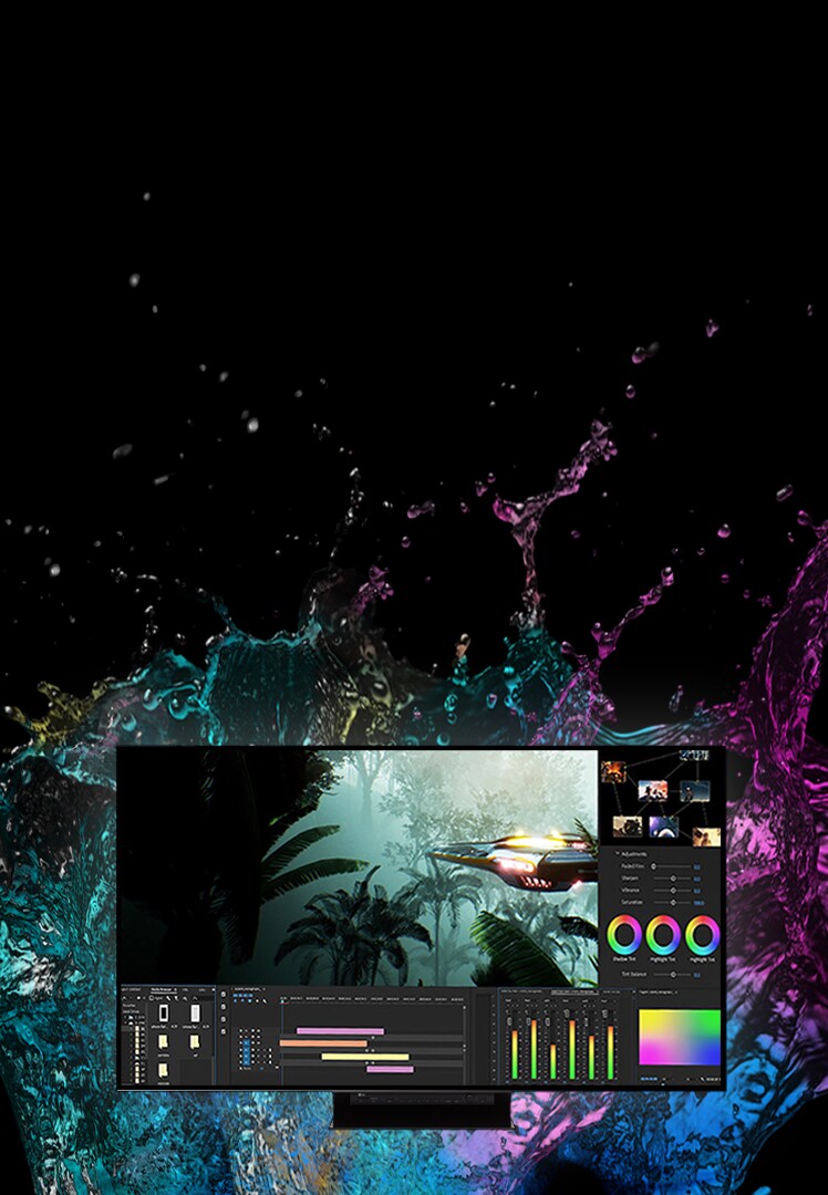 OLED Professional Display