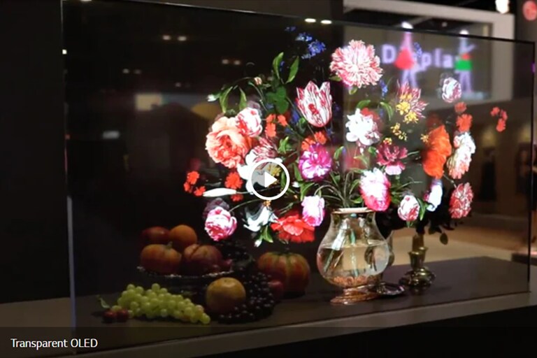 transparent-oled-0067-1