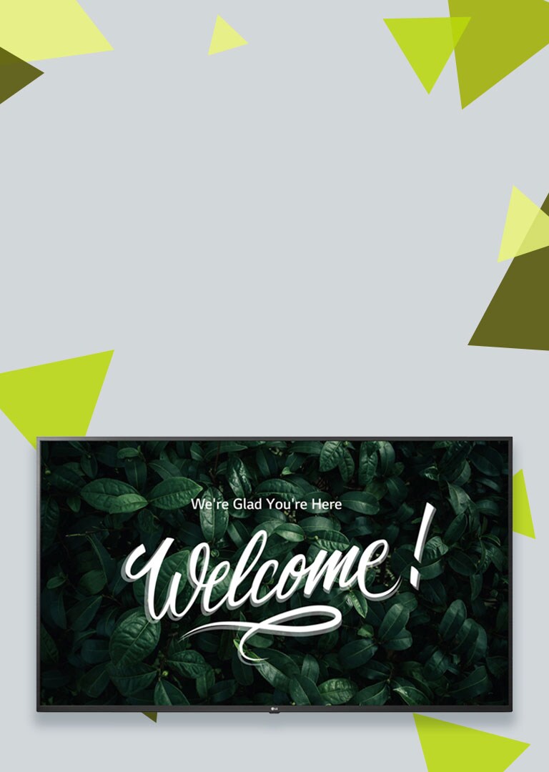 Wall display with graphics