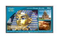 65" class (64.5" measured diagonally) LCD Widescreen Full HD Capable Monitor1