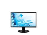 19" class (18.5" measured diagonally) LCD Widescreen Monitor1