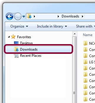 Screenshot of local downloads folder. 
