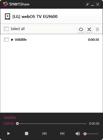 Smartshare screenshot of media player window
