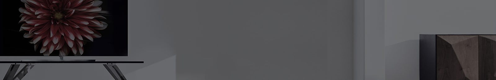 Customer Care Portfolio Banner