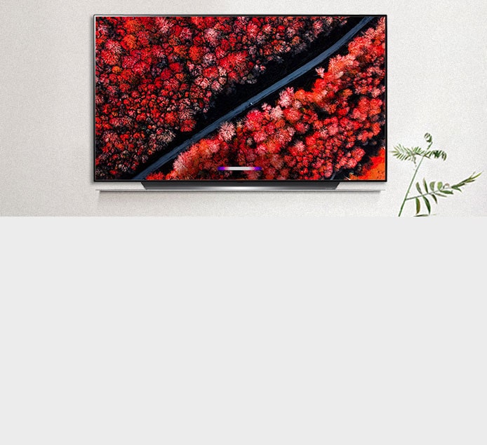 LG OLED TV C9