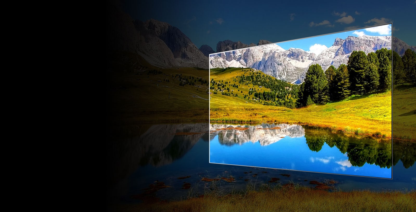 OLED TV Reliability