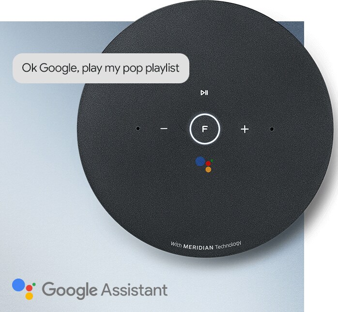 Google Assistant Built-in
