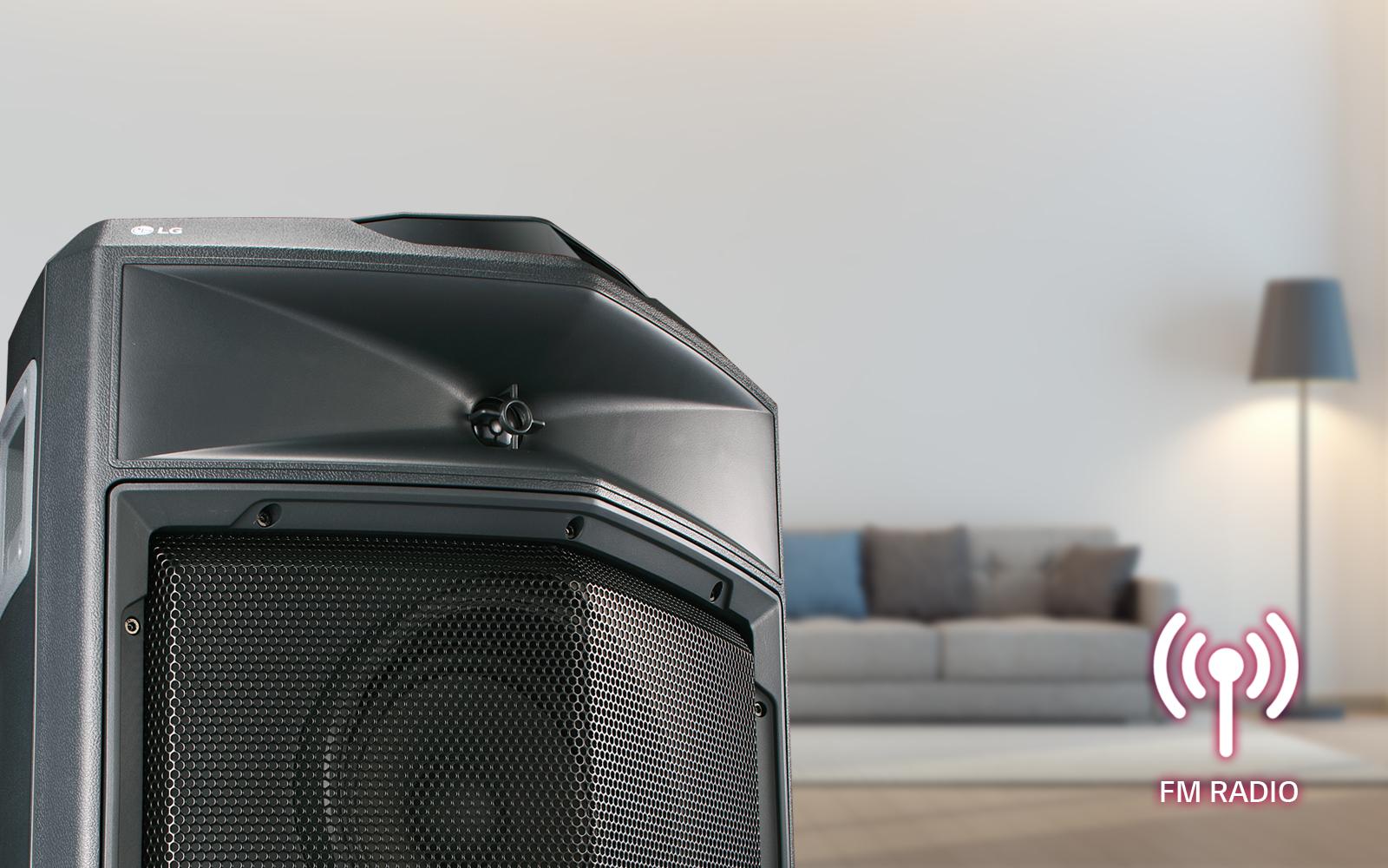 lg fj3 speaker
