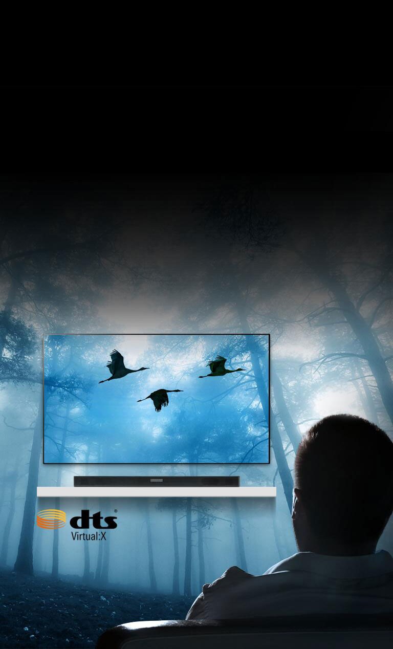 lg sk5y 2.1 channel 360w dts soundbar