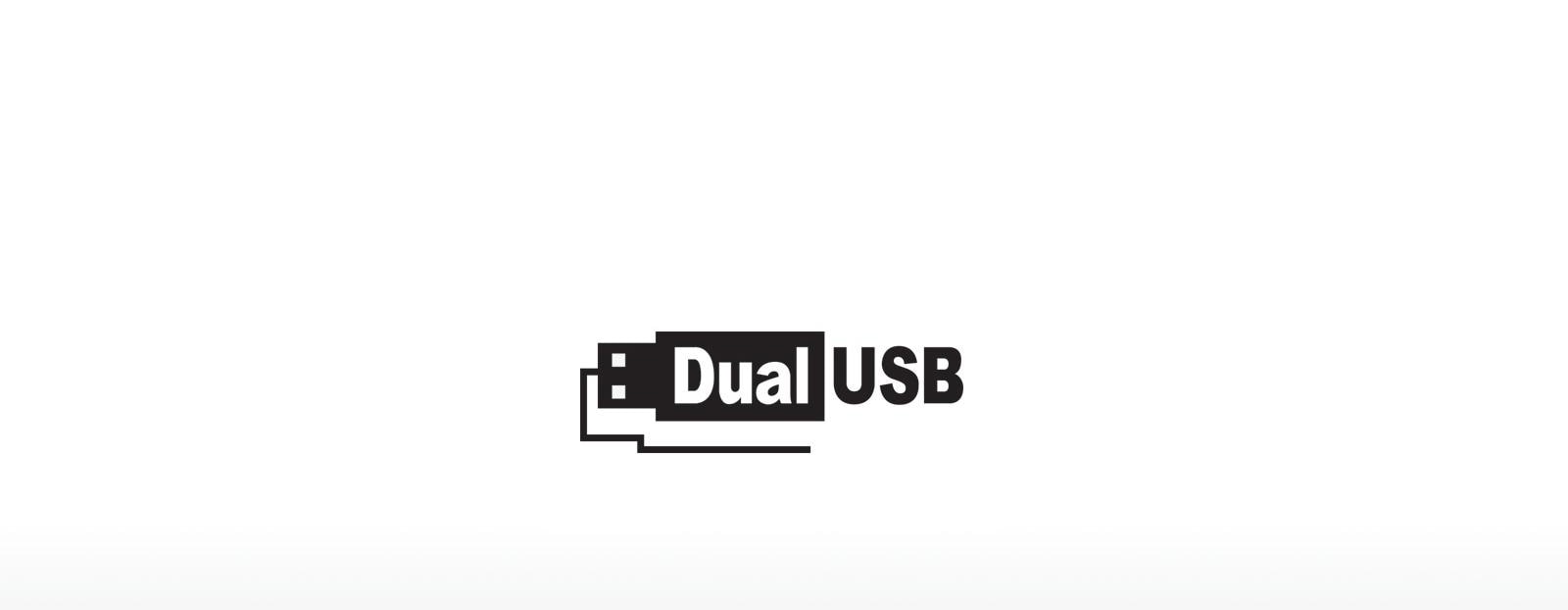 Dual USB