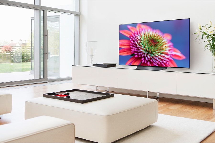 A TV in a stylish living room plays nature scene on-screen.