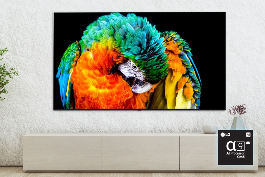 A parrot with beautifully colored feathers. Alpha9 4K AI Processor Gen6 chip.