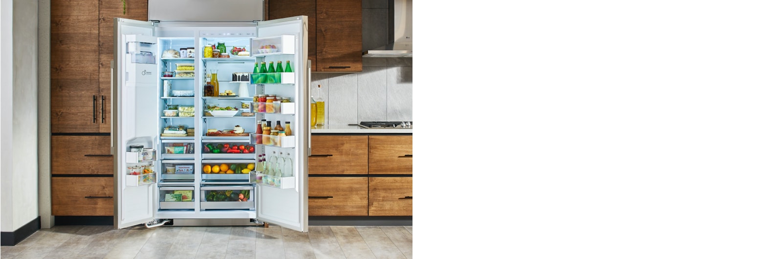 Organization & Capacity