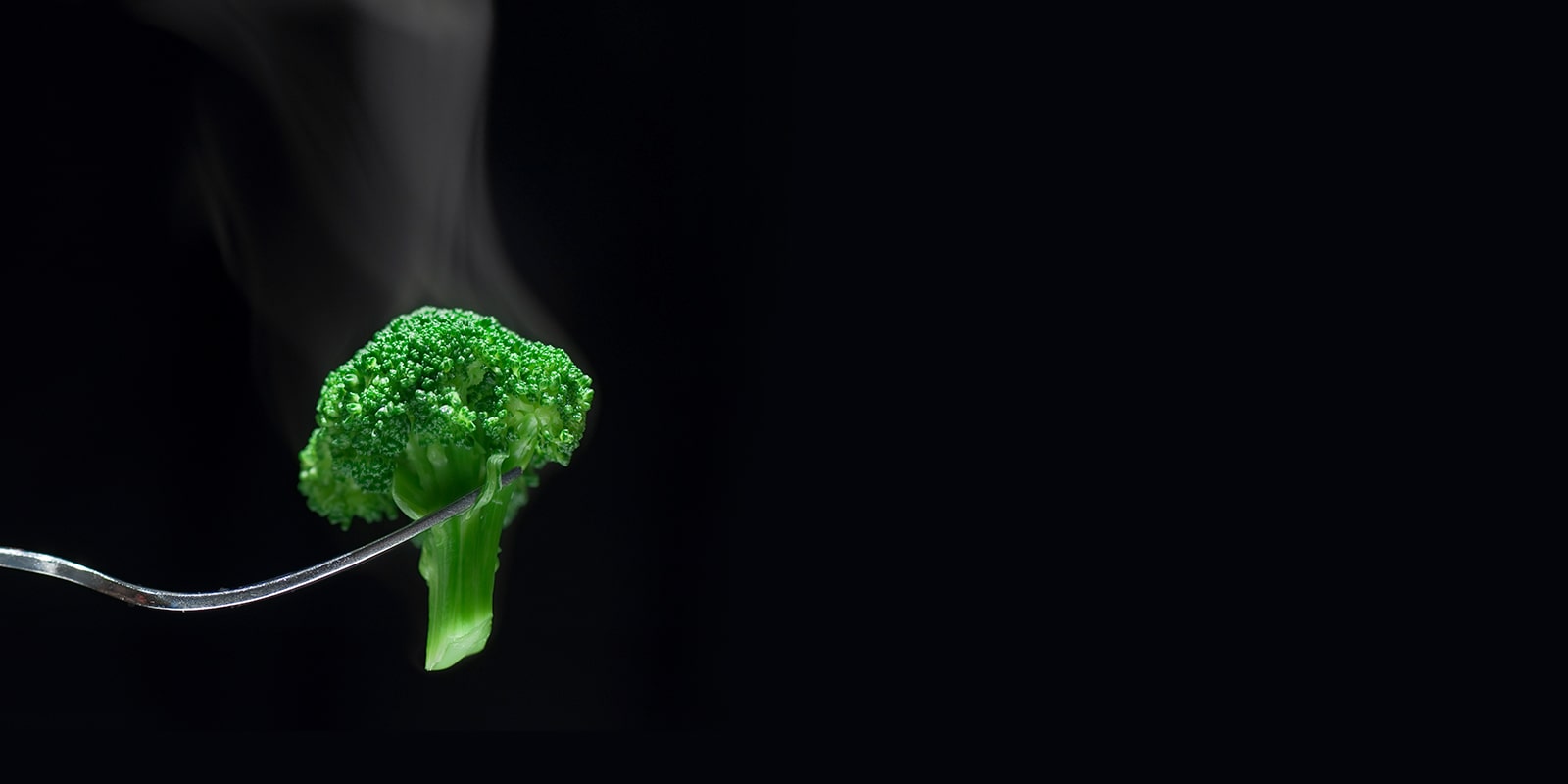 Steam Cook Nutritious, Tasty Dishes1