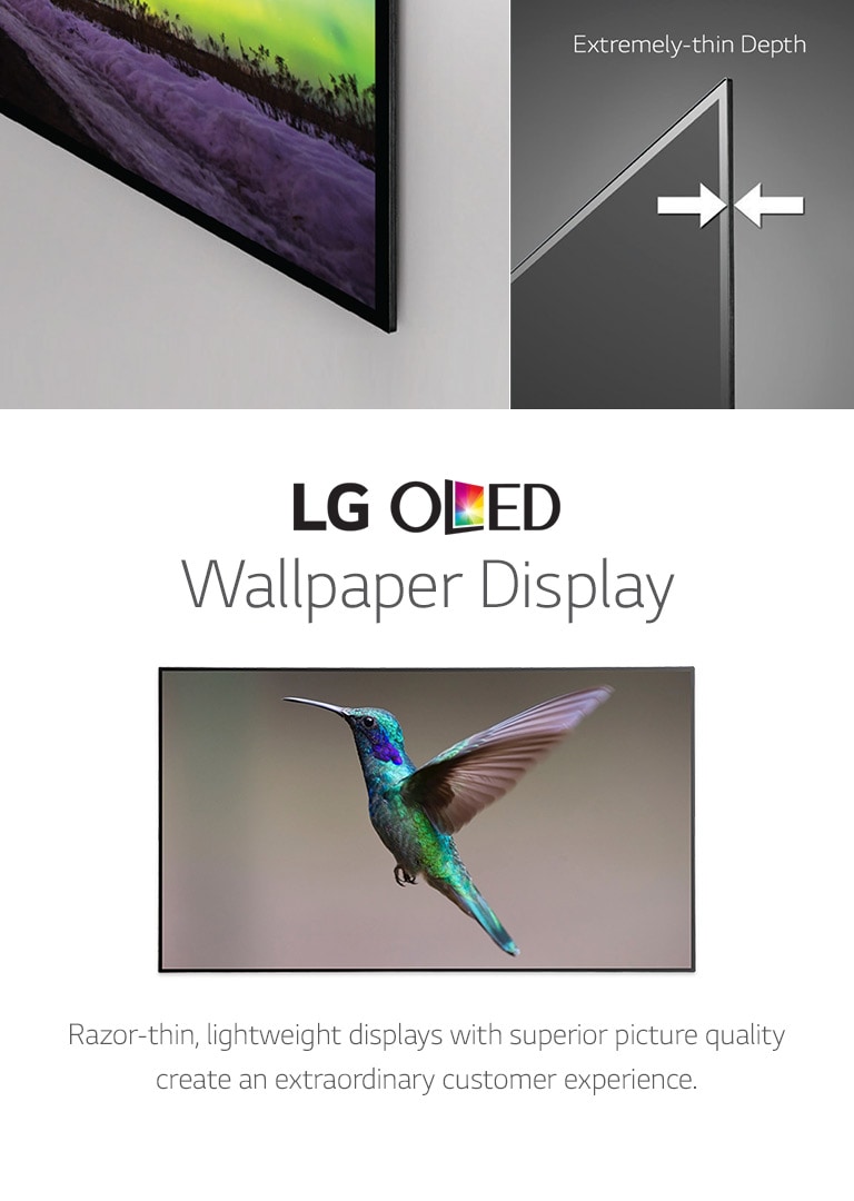 LG OLED Ultra Thin Wallpaper TV Display | LG USA Business
