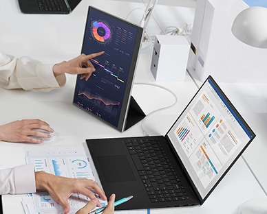 16'' IPS WQXGA +view Portable Monitor | 16MR70.ASDU | LG US