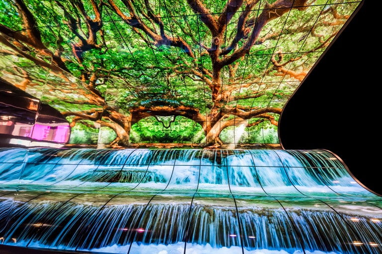 Open Frame Curvable OLED Display3