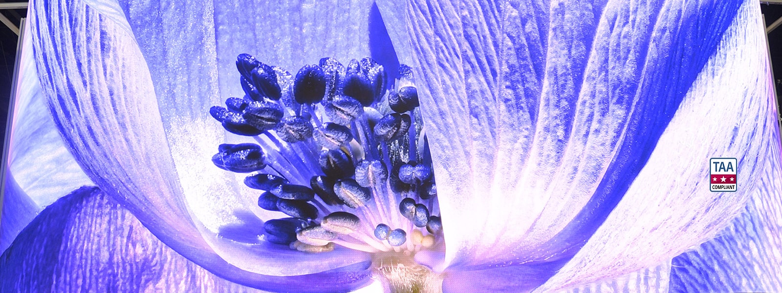 LG_Indoor_Premium_Fine-pitch_DVLED