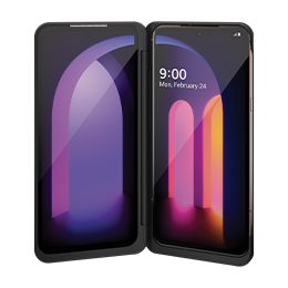 LG DUAL SCREEN™