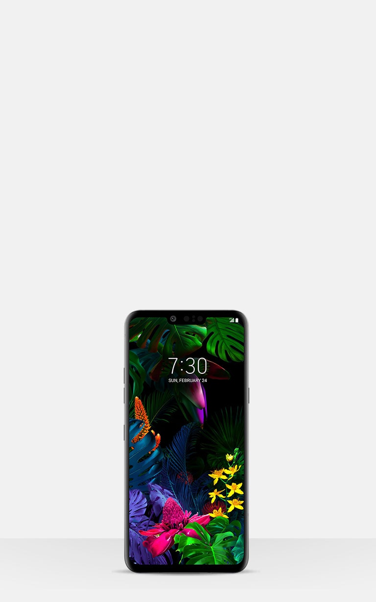 LG Software Updates2