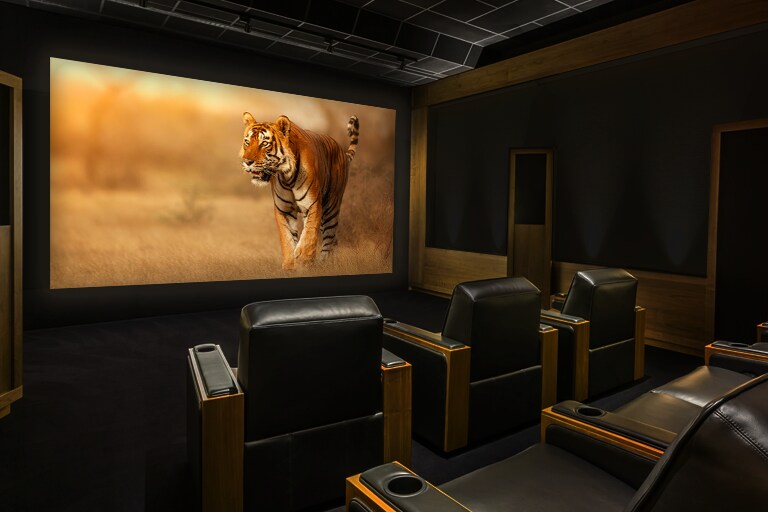 Amaze Audiences with OLED97 and LSAP009