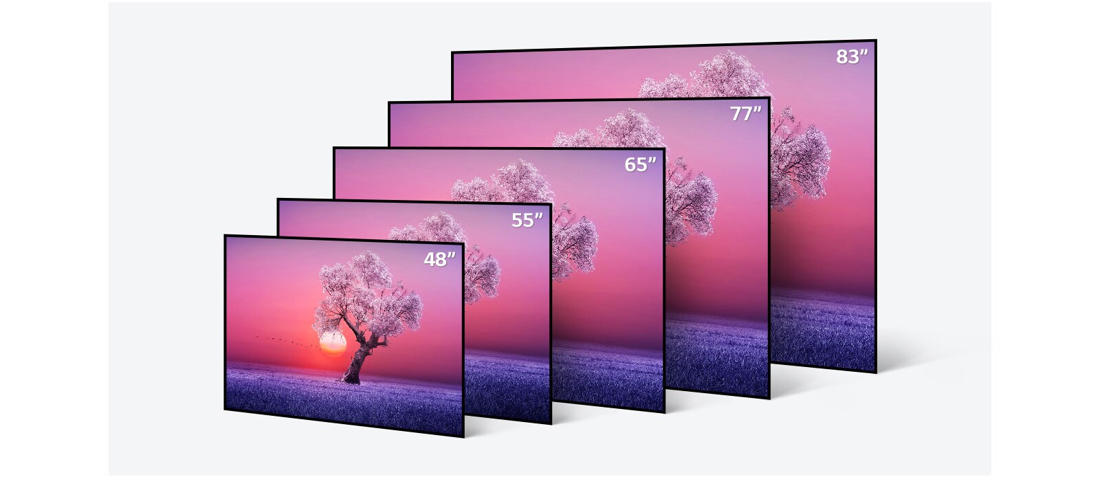 Multiple Foul Traditional Lg C1 Tv Gallery Twin Up