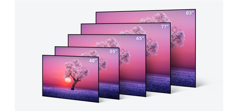 LG C1 48 inch Class 4K Smart OLED TV w/AI ThinQ® (48.2'' Diag)  (OLED48C1PUB) | LG USA