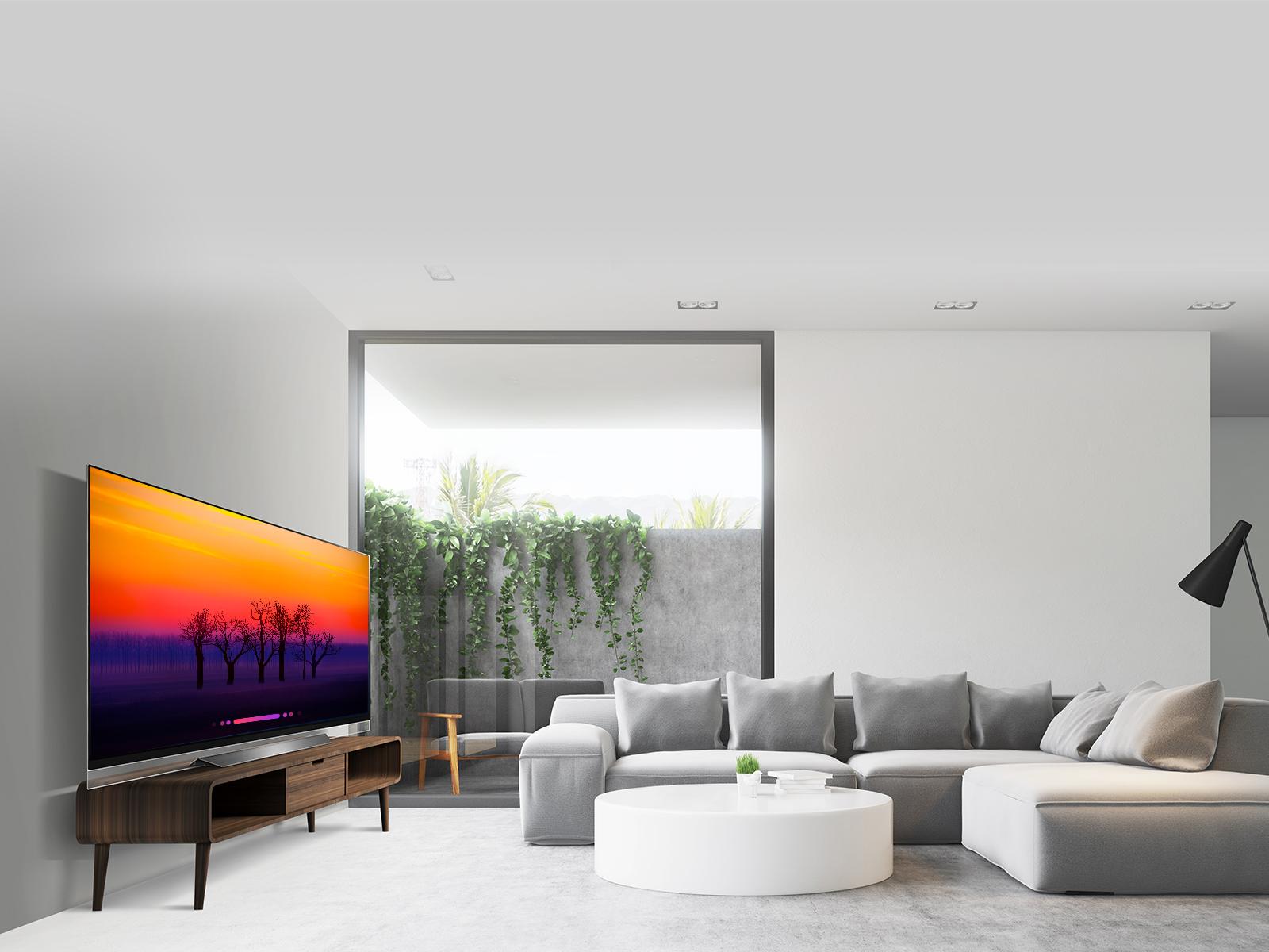 LG OLED65E8PUA 65 Inch Class 4K HDR OLED Glass TV w/ AI ThinQ® LG USA