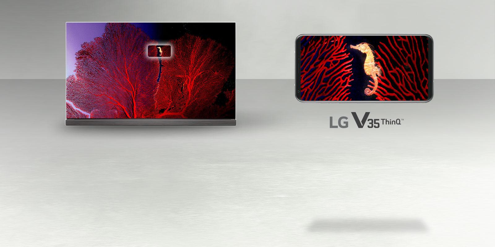 LG OLED. Now Mobile.