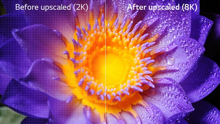 Image of a flower in the original 2K definition on the left and upscaled to 8K on the right.