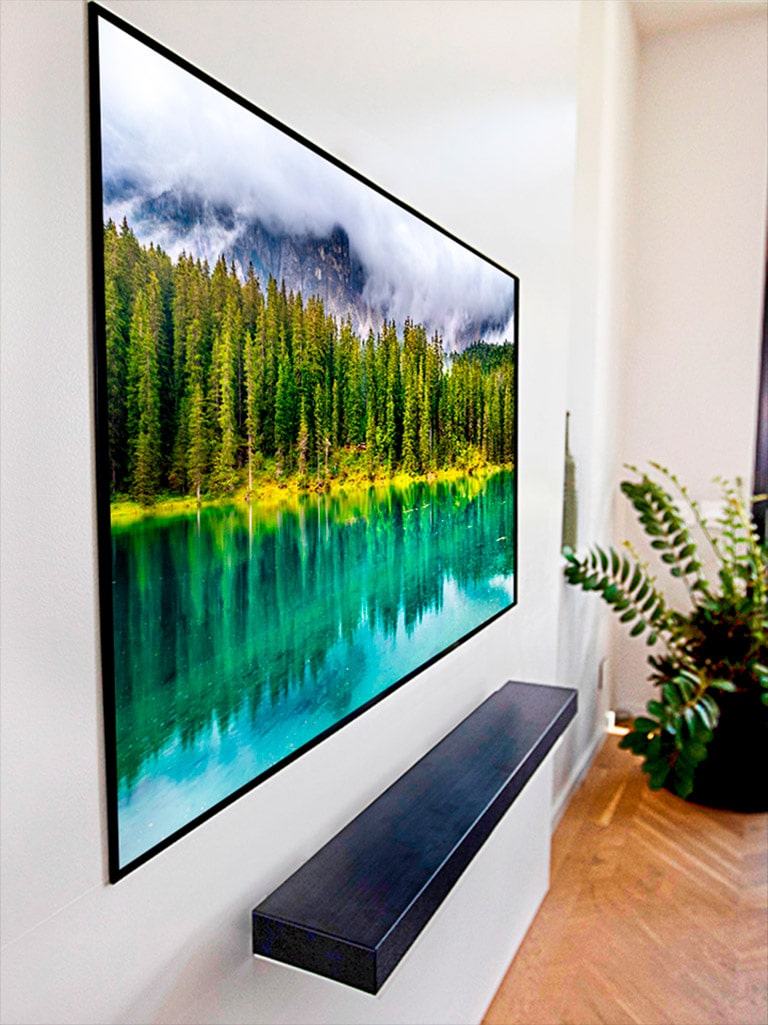 Купить Lg Олед 65