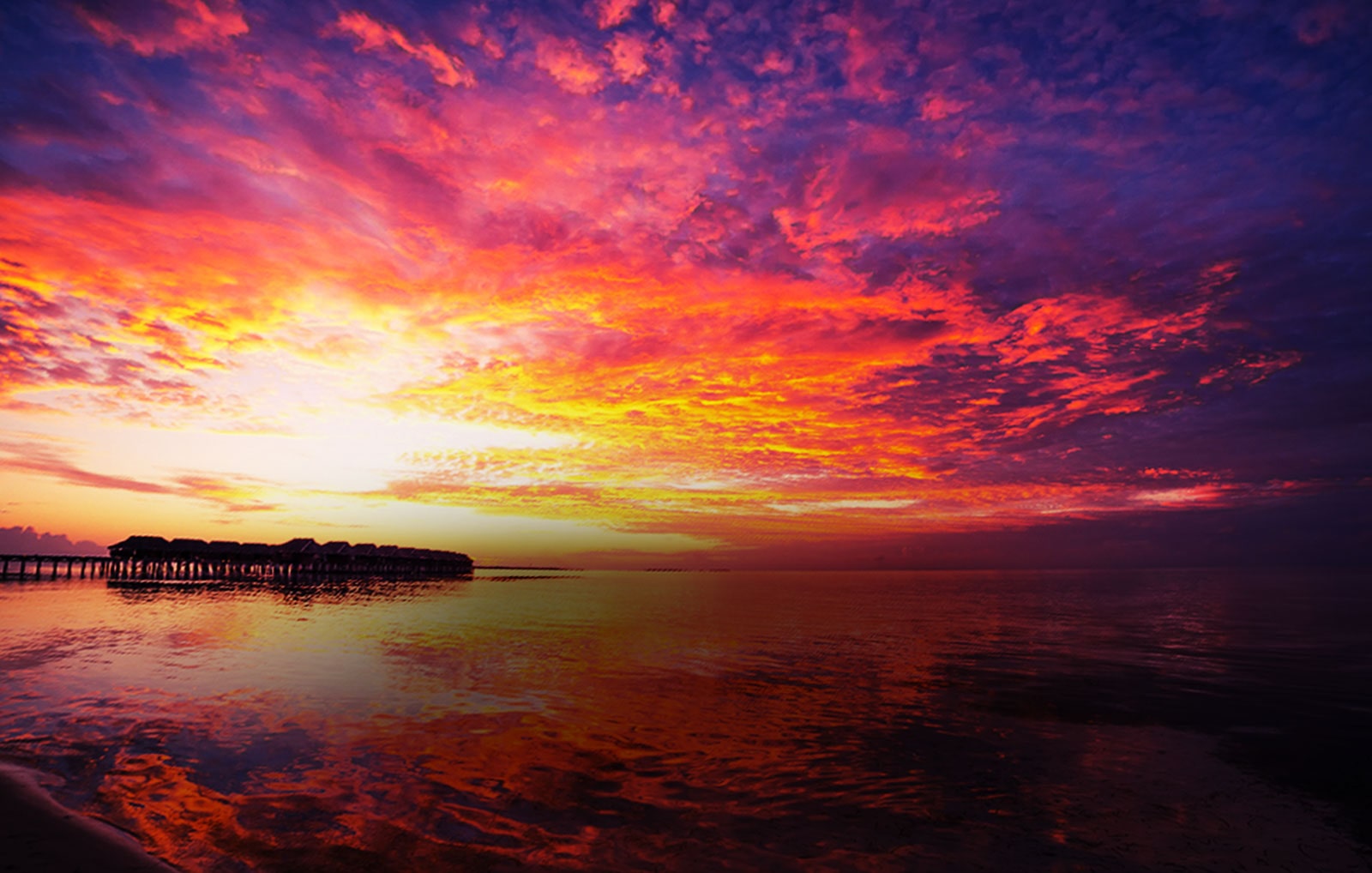 Brighten your scenes with Full Array Local Dimming1
