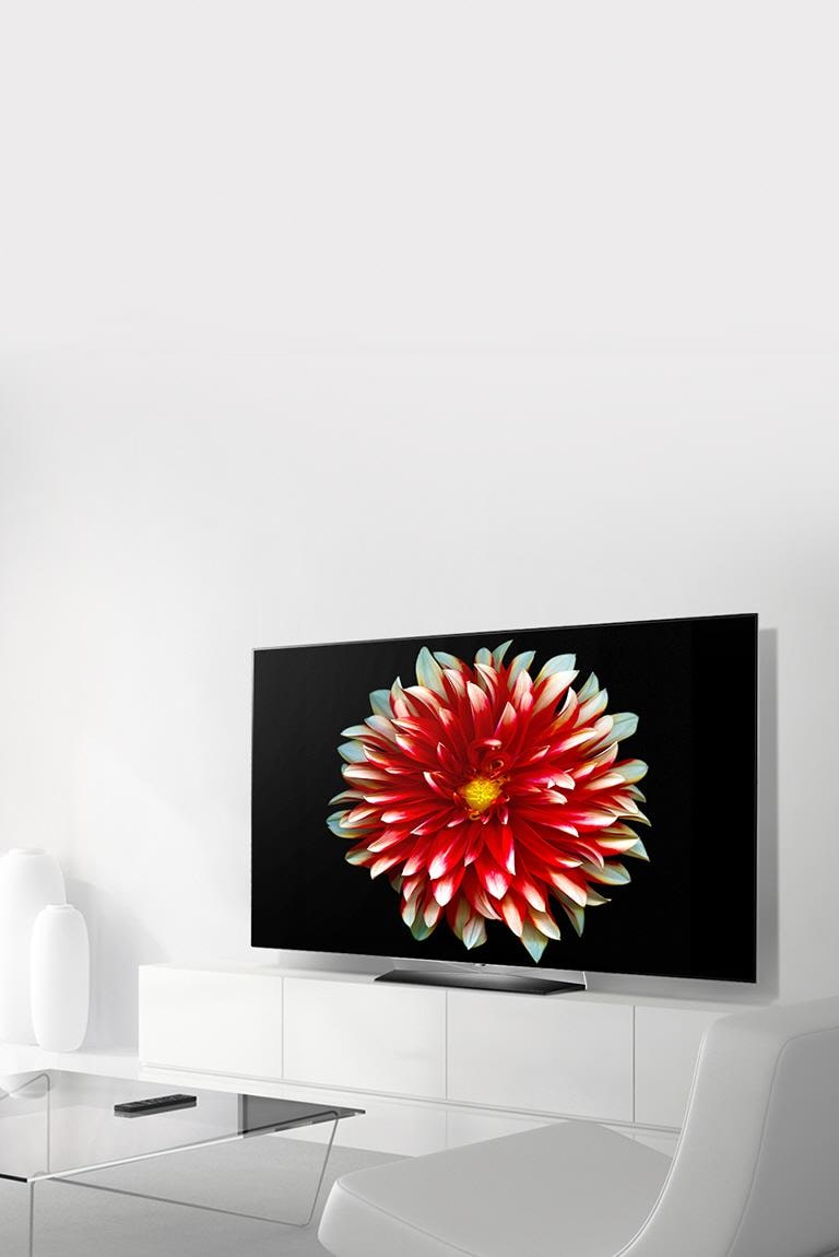 LG OLED65B7A B7A 65 Inch Class OLED 4K HDR Smart TV LG USA