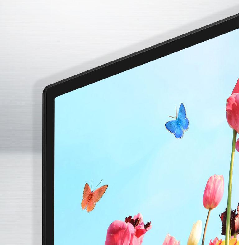 LG 24LH4830PU 24inch HD 720p Smart LED TV LG USA