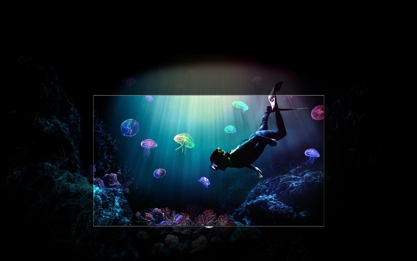 テレビ/映像機器 テレビ LG OLED65B6P: B6 65 Inch Class OLED 4K HDR Smart TV | LG USA