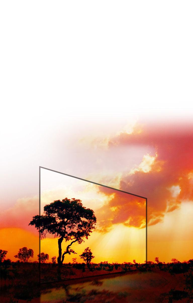 Enjoy The Most HDR Content<br>2