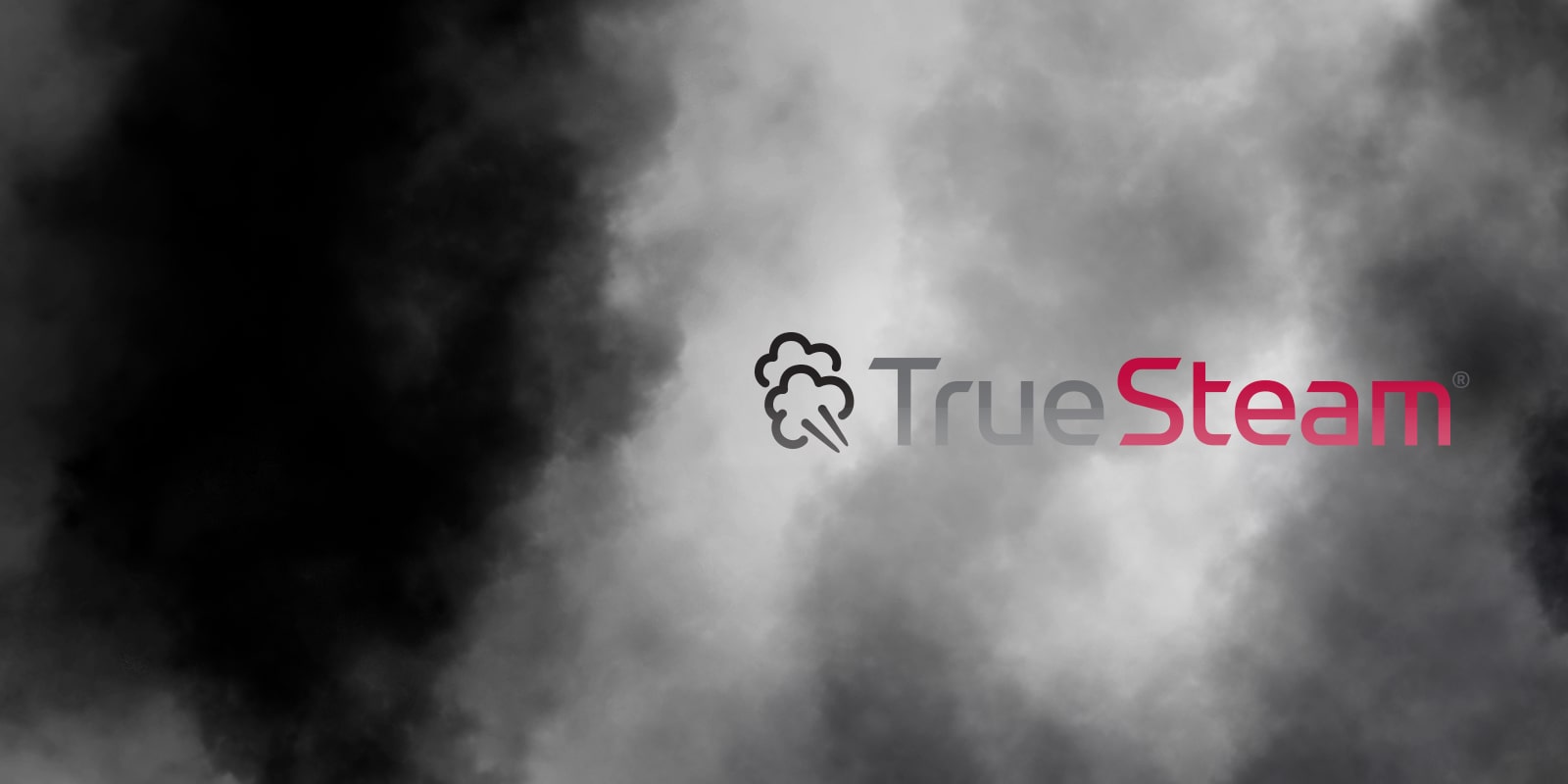 TrueSteam logo