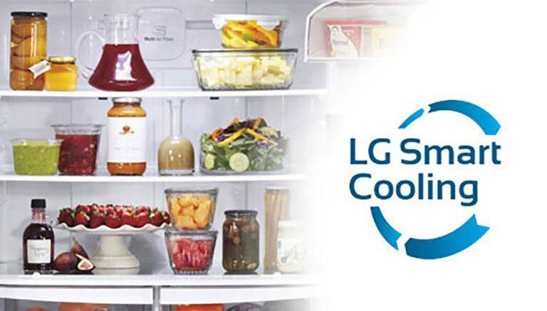 lg lfc22770st ice maker