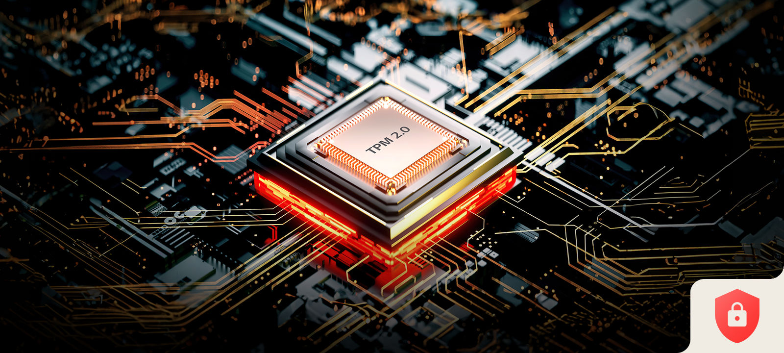 TPM increases security by encrypting the computer drive to keep data safe.