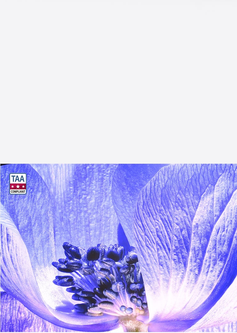 LG_Indoor_Premium_Fine-pitch_DVLED