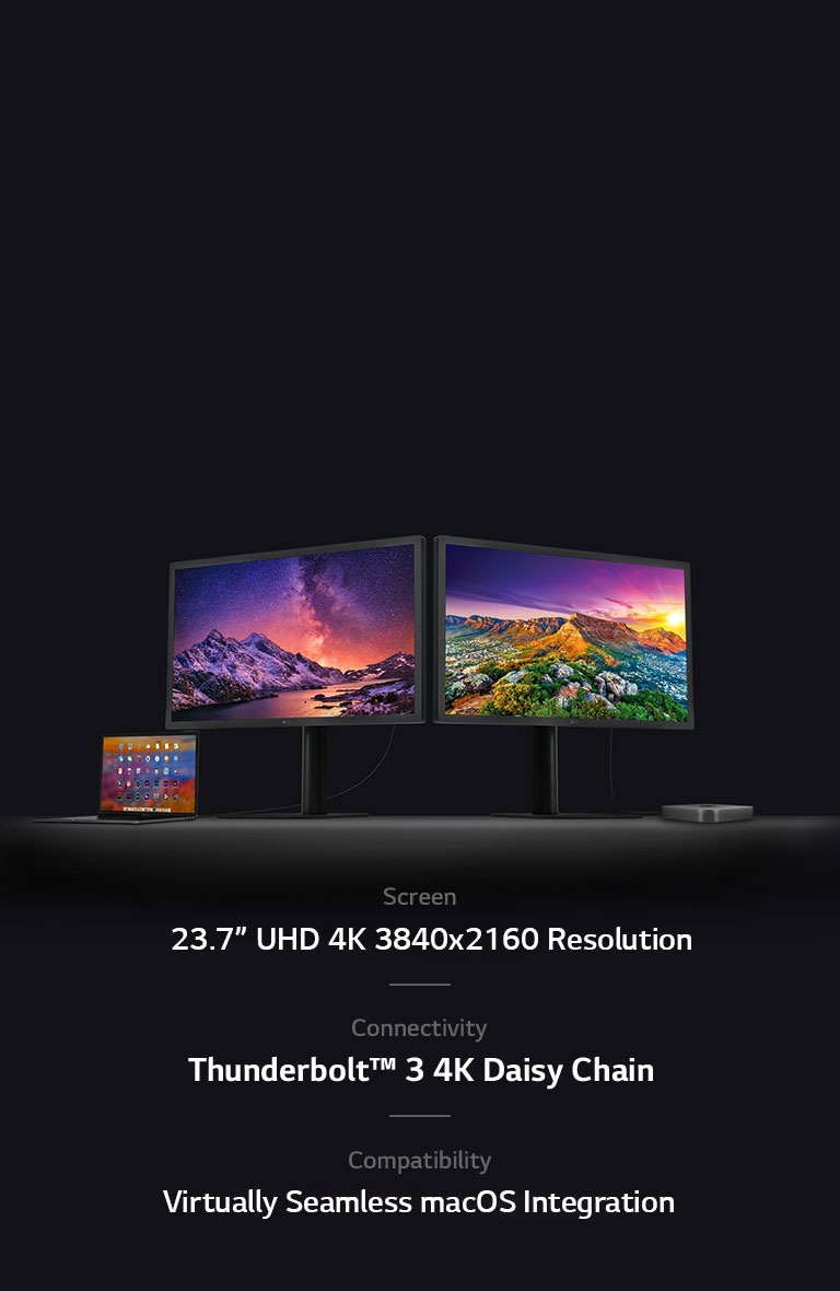 24” UltraFine™ 4K IPS Monitor with macOS Compatibility | LG US