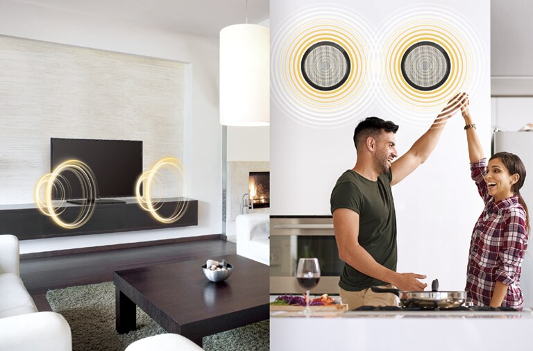 External Speaker Out