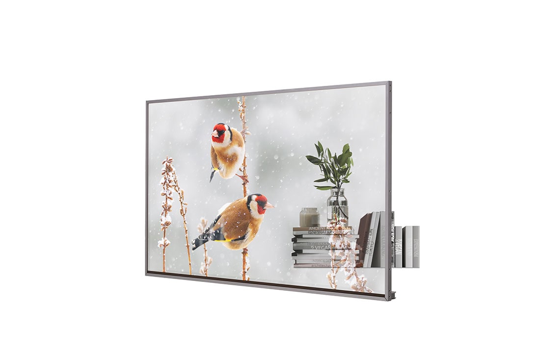 LG 55'' Transparent OLED with Expandable Design, 55EW5P-M, 55EW5P-M, thumbnail 2