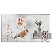 LG 55'' Transparent OLED with Expandable Design, 55EW5P-M, 55EW5P-M, thumbnail 1