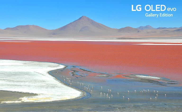 Various images of the natural environment to explain the OLED function of the product