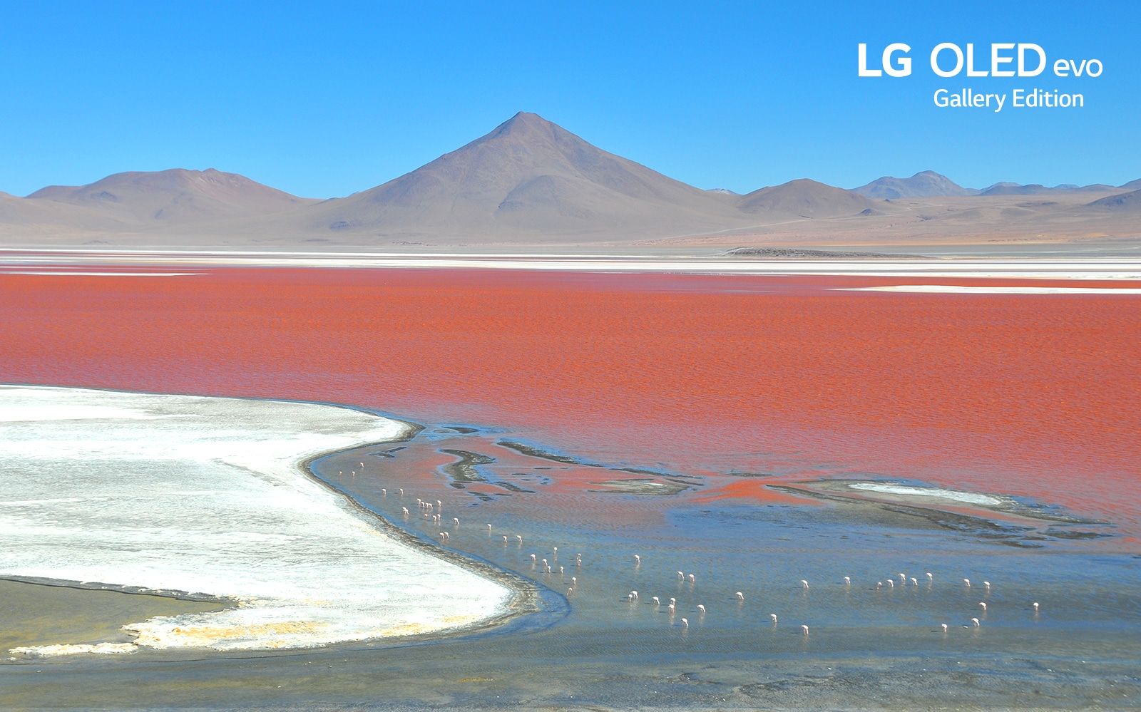 Various images of the natural environment to explain the OLED function of the product