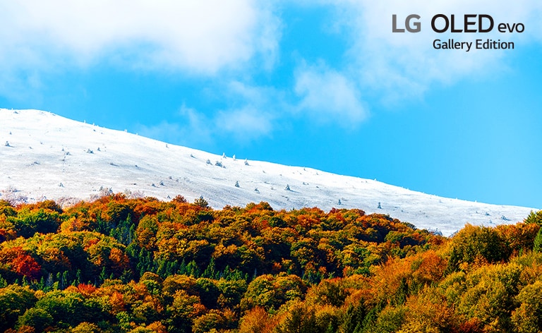 Various images of the natural environment to explain the OLED function of the product